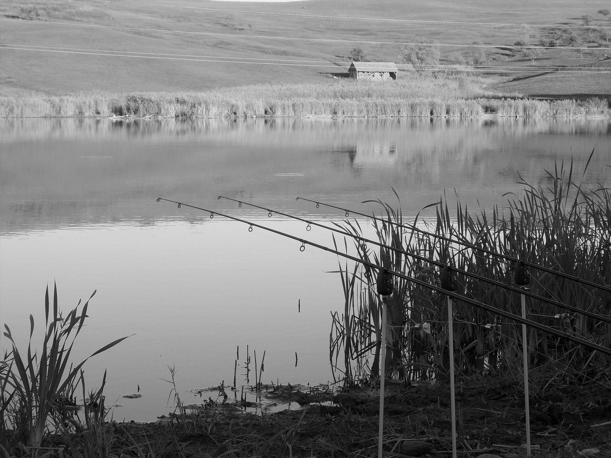 Catch and relase. - dscn01371.JPG